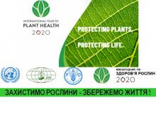 Рік здоров'я рослин