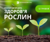 Plant Day